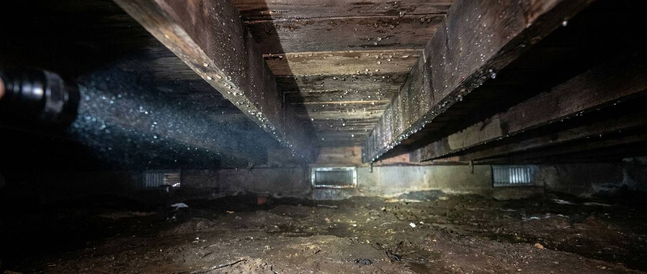 Condensation beading on wooden floor joists above a damp vented crawl space