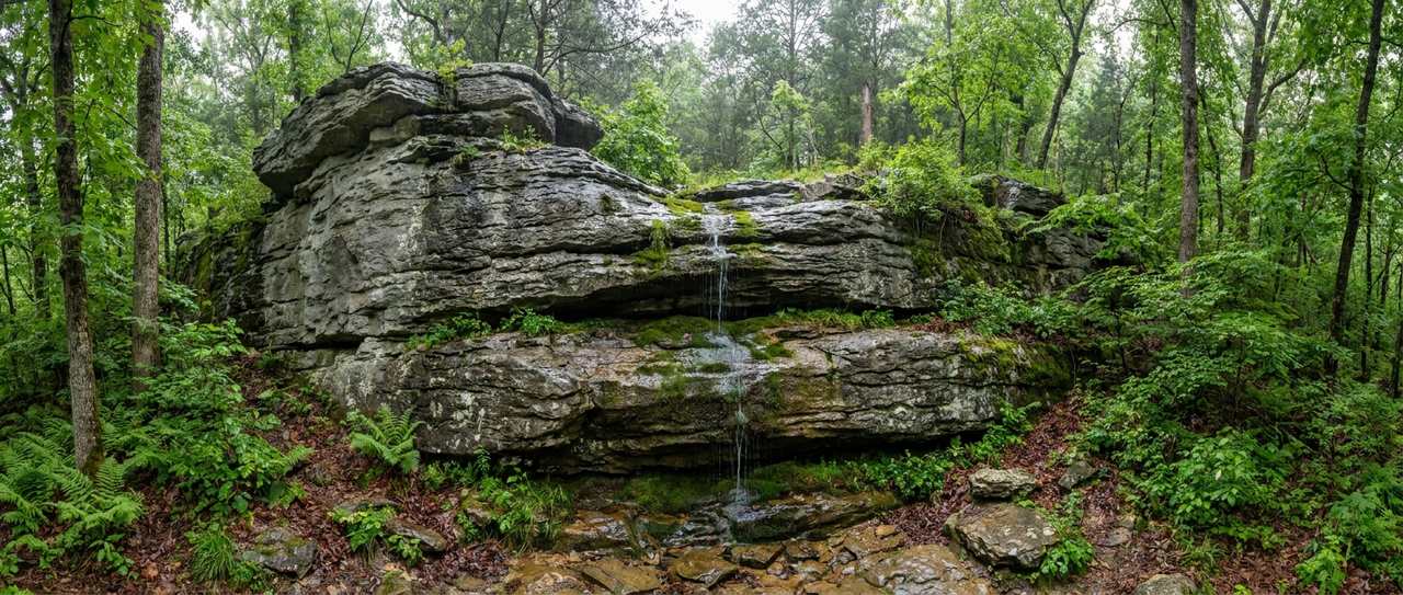 Exposed weathered limestone ledge of Ozark karst terrain with water seeping through fractures